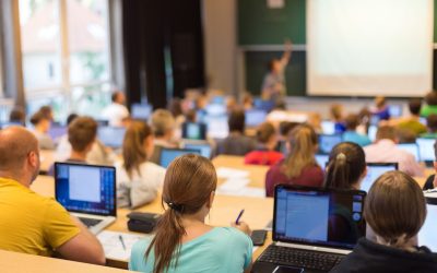 Les Secrets Bien Gardés des Développeurs Web Indépendants